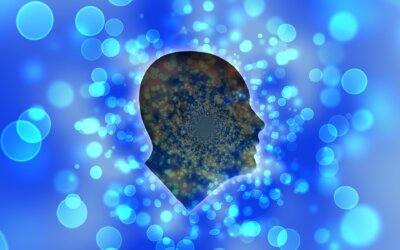 Déterminé, persévérant… Portrait-robot de l’intrapreneur