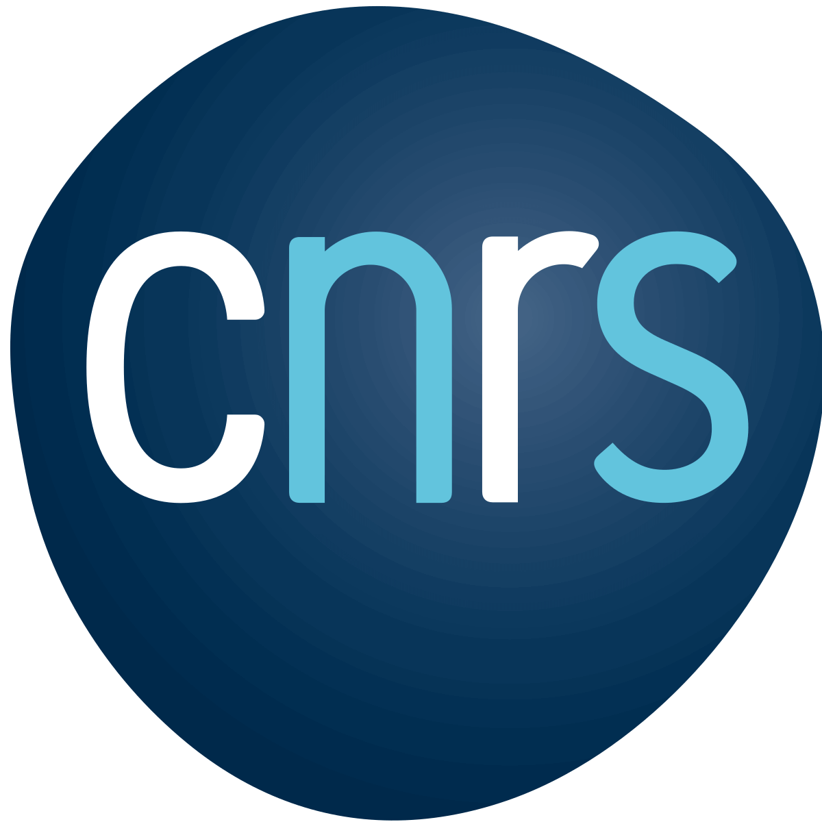 logo cnrs.png